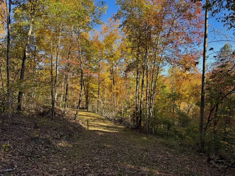 027 peaceful evening near the ridgetop-2