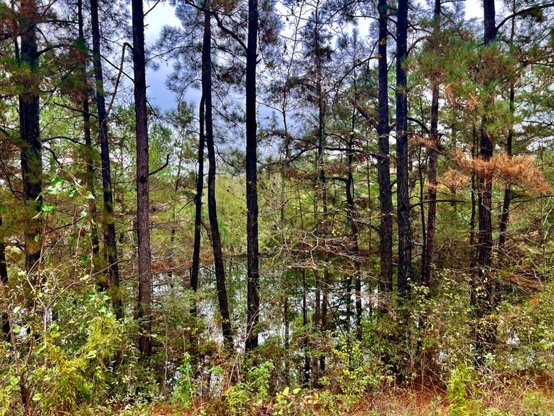 254911BF-CE99-40AC-B9A0-F4AE20BD5CAA_1_201_a