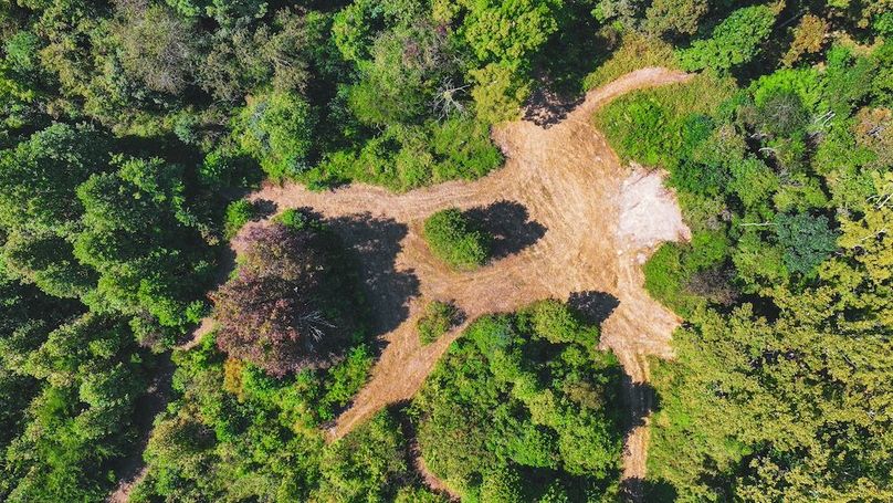 Copy of dji_fly_20250910_132752_0471_1757525878141_photo