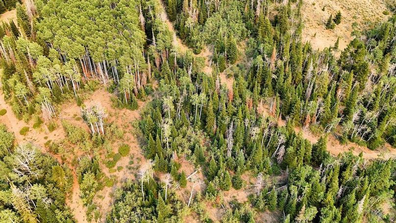 DJI_20250726173609_0127_D