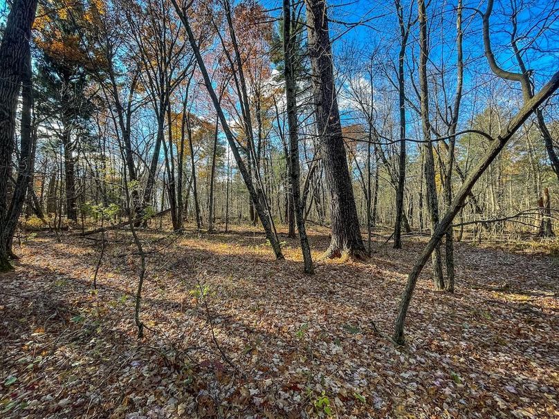 Portage 150.81 JMJK Prop-08