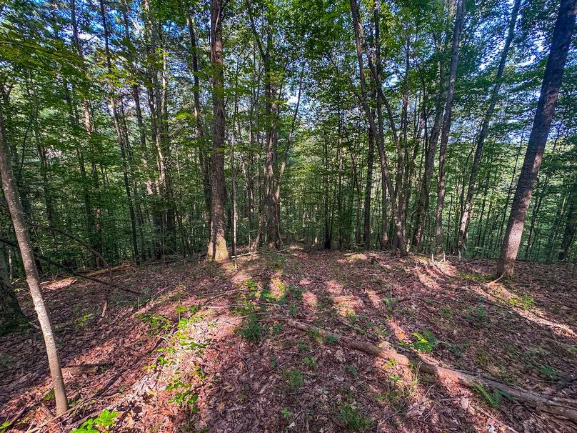 Lewis, WV 82.87 AC Barger-112