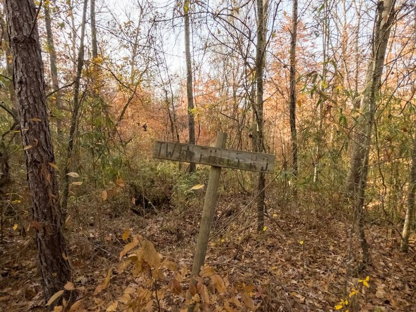 Claiborne Co - 274 - Marian-085