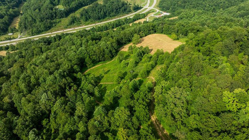 Lewis WV 150 Featured_ProPhoto-113