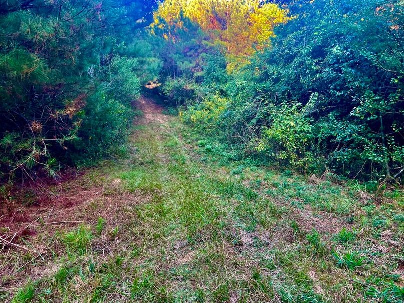 F60116E4-6257-49D2-A44B-A5956A9AF831_1_201_a