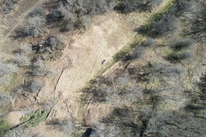 Lewis_26_Somberg Photo 41