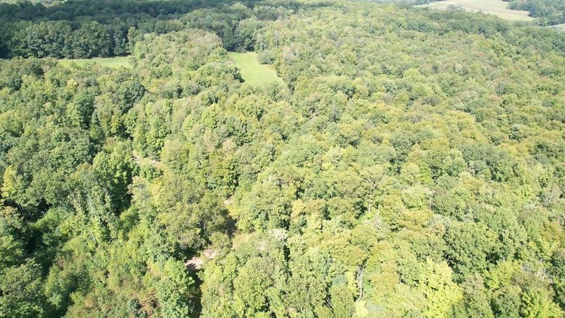 dji_fly_20240906_144116_618_1725648416022_photo