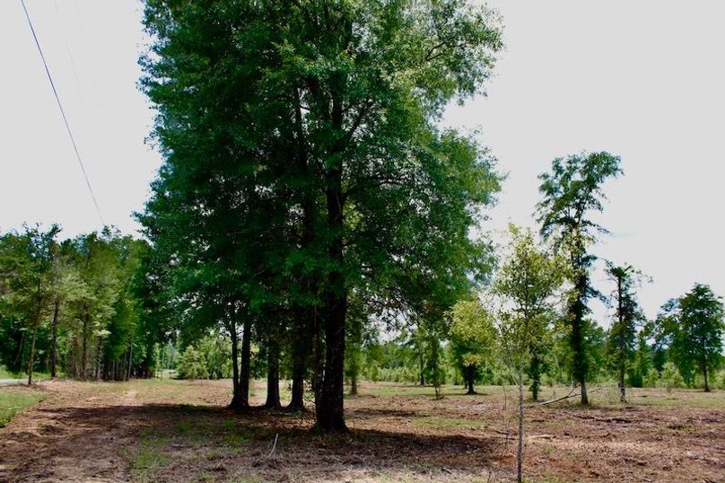 23E4EACC-B831-47E9-9C94-17D8A0F553D8_1_105_c