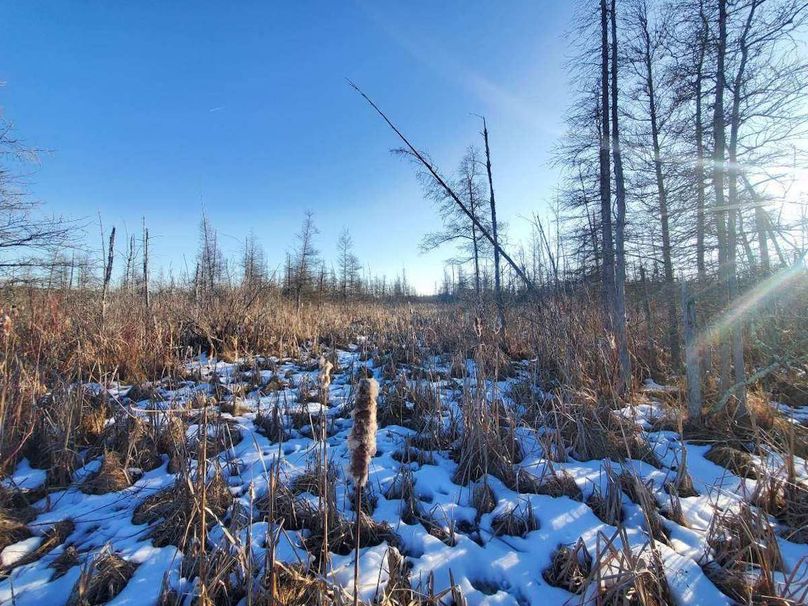 Resized_20240131_155010