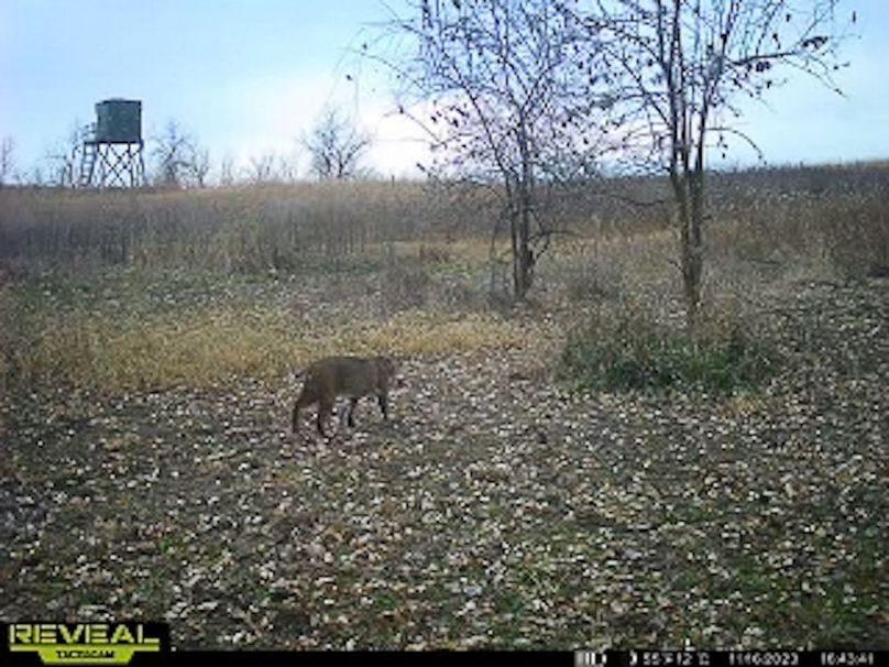 865509050418056-50-4-11162023164407-W1003318