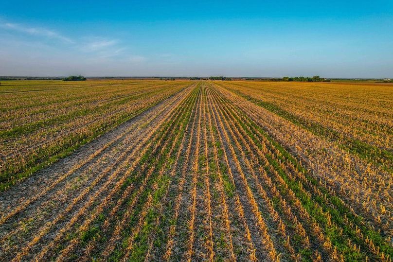 Bell 46.44 Pictures-25