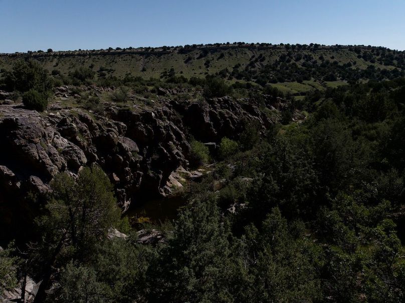 DJI_20250619093340_0014_D