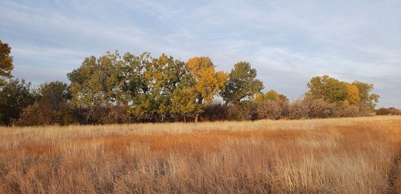 Copy of 20201016_071911