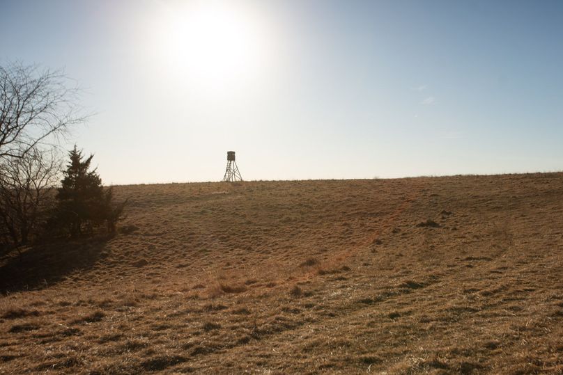 WORTH CO MO 537.44_37