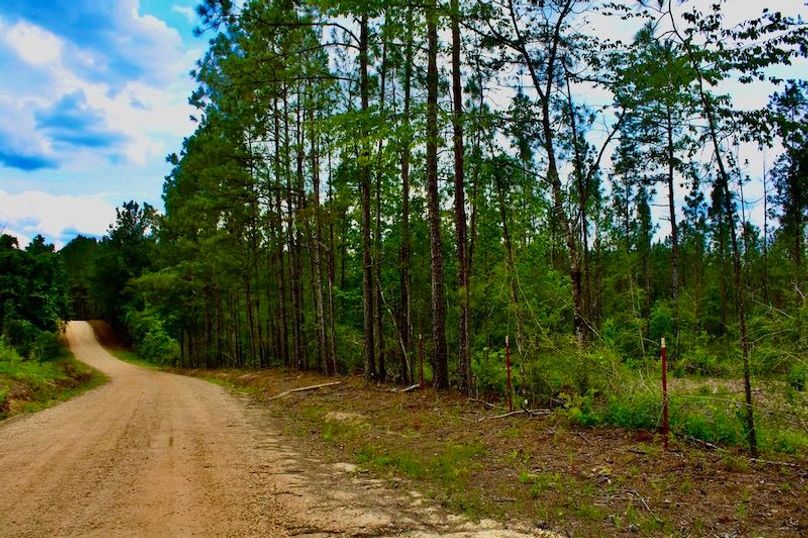 73591902-344C-4F48-BEA7-3B9E5396D210_1_105_c