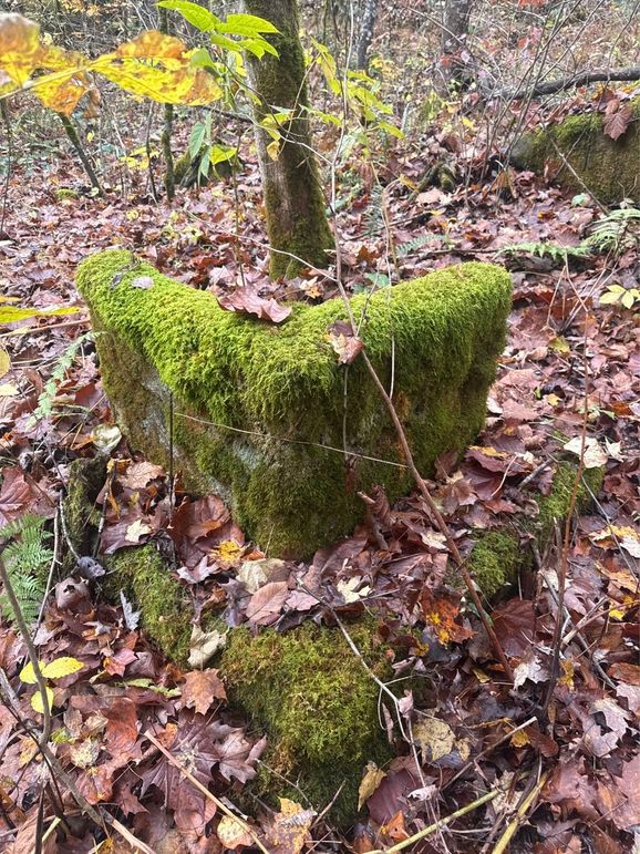 017 Hewed Rock Around Well-2