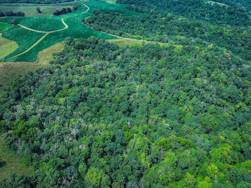 New Albin 8_8 edits-29