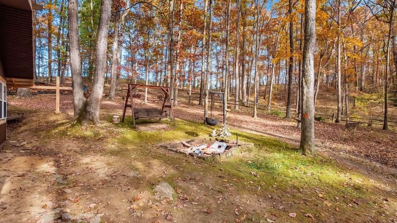 57-z 46585 Morning Star104-2