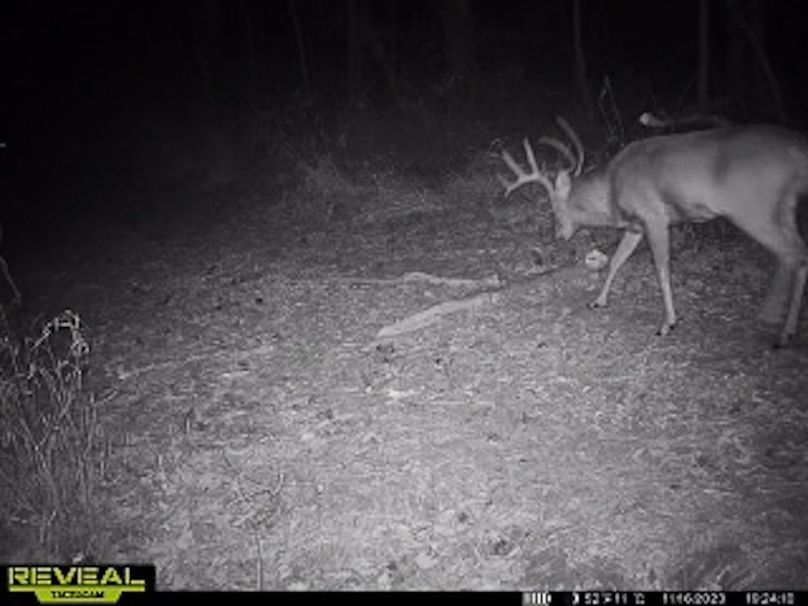 865509050473705-90-4-11162023192429-W1003988