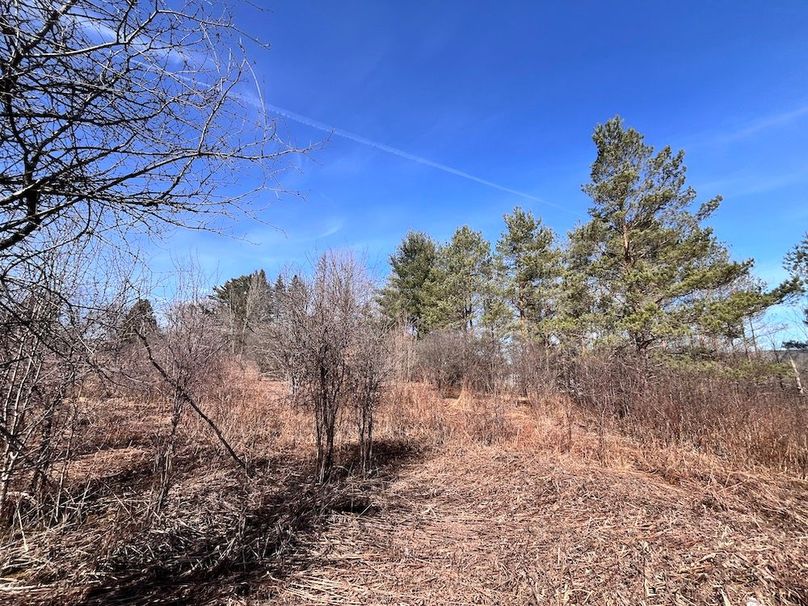 Lewis_26_Somberg Photo 5