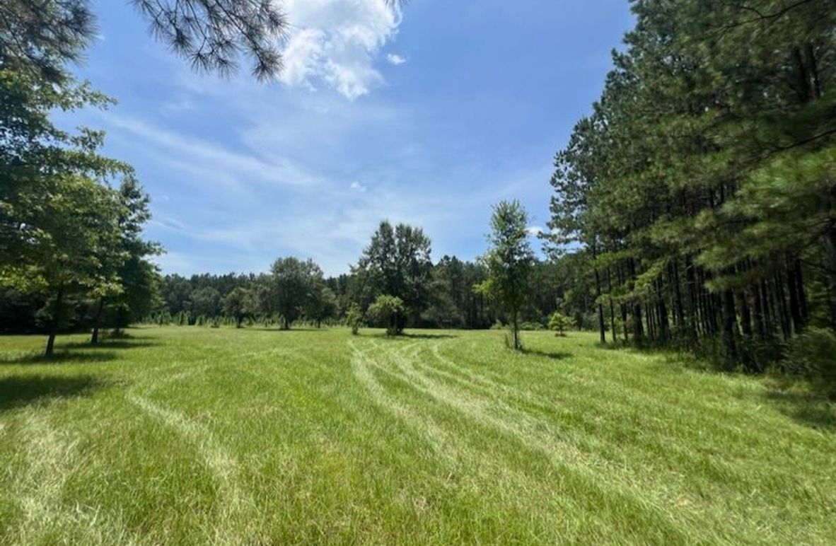 3E9F3DE3-D044-43E1-9095-FE78E2BEF42F_1_105_c