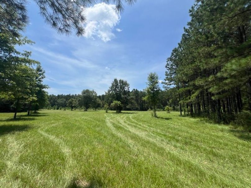 3E9F3DE3-D044-43E1-9095-FE78E2BEF42F_1_105_c