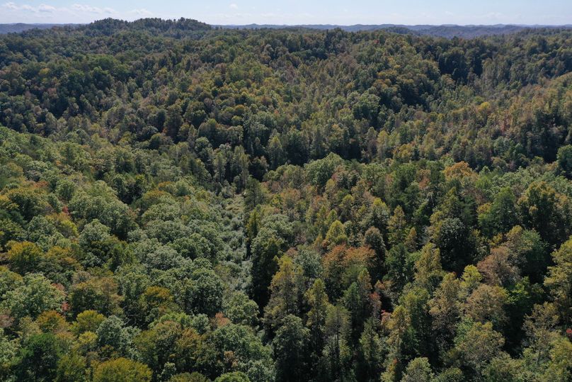 005 aerial drone shot from the middle of the property looking south down the valley