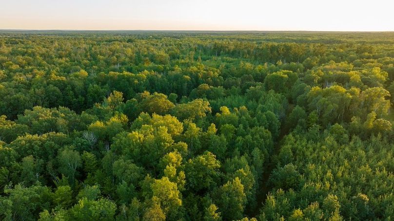 Cass MN 1095 Featured ProPhoto-108