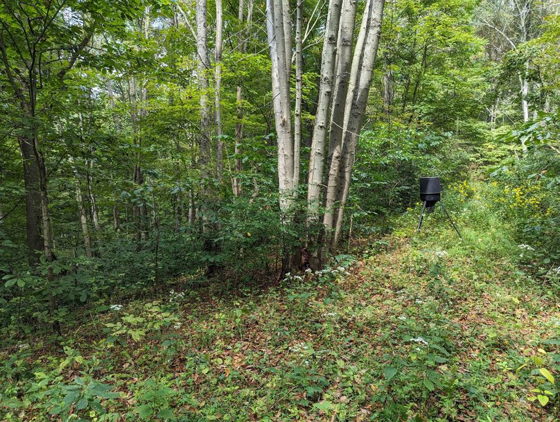 PXL_20230908_180810714.MP