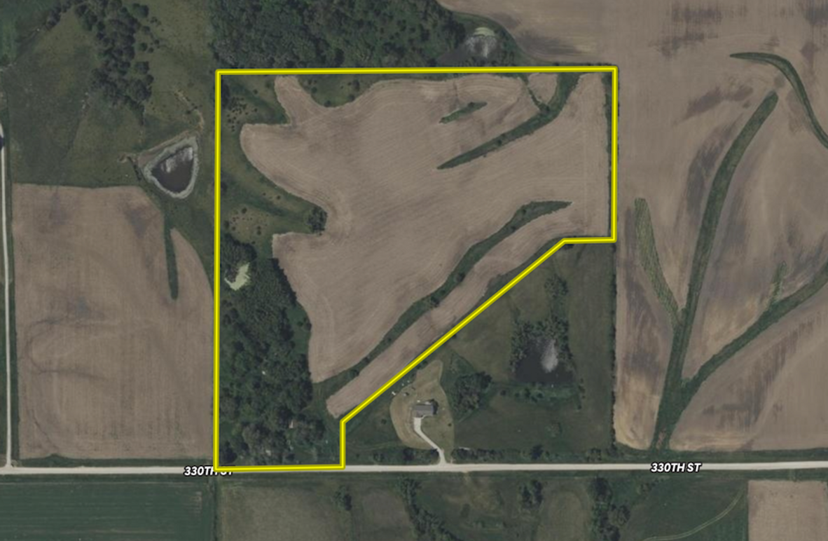 Screenshot 2025-06-15 at 8.09.27 PM