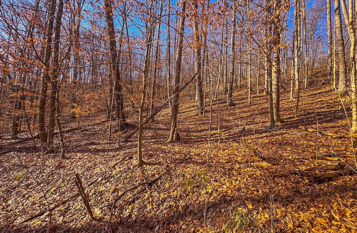 Lewis, WV 82.87 AC Barger-03