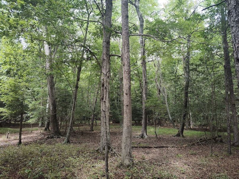 IMG_20250830_132829700