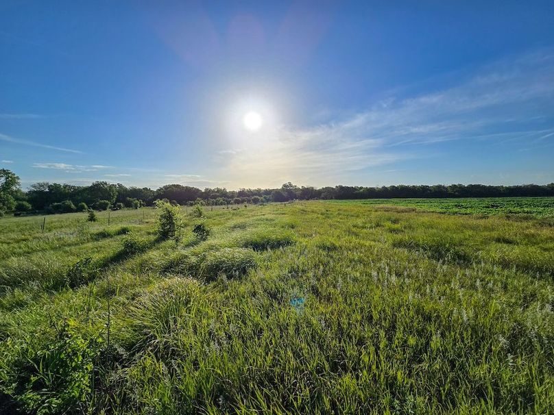 Copy of 20250729_080430