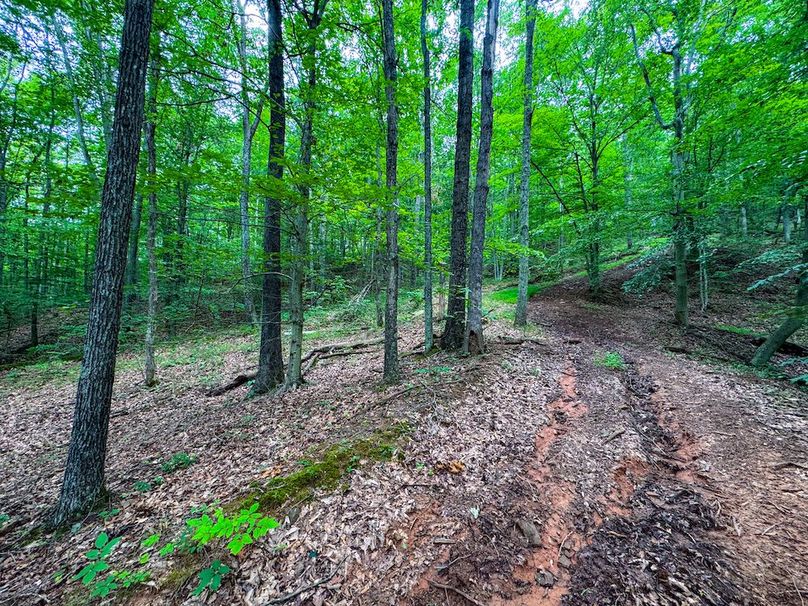 Tyler, WV 46 Lemasters -14