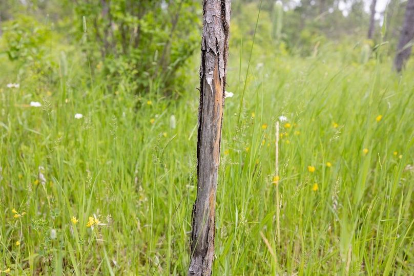 Mackinac 160 Leppiaho-3
