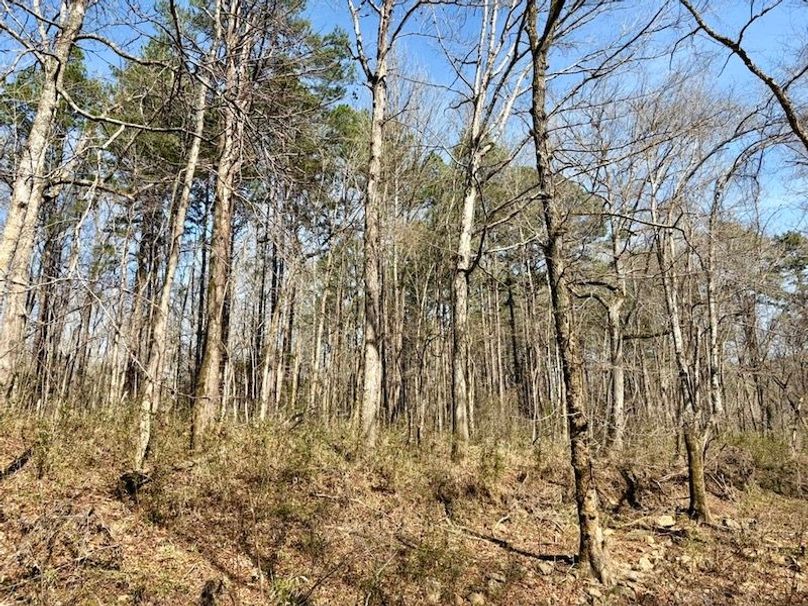 67DE9D6B-C7FB-4149-841F-AD7EF1175D44_1_105_c