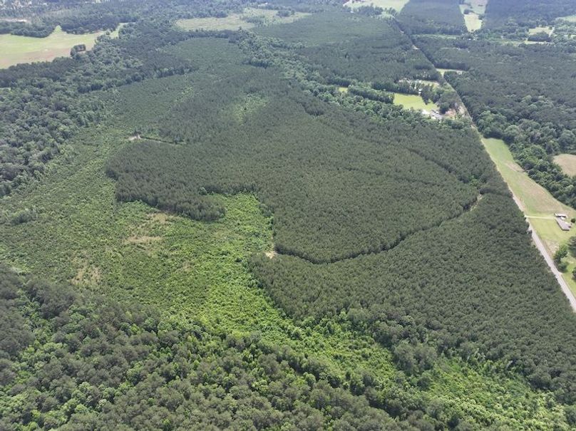 dji_fly_20260519_134042_0005_1779286793568_photo