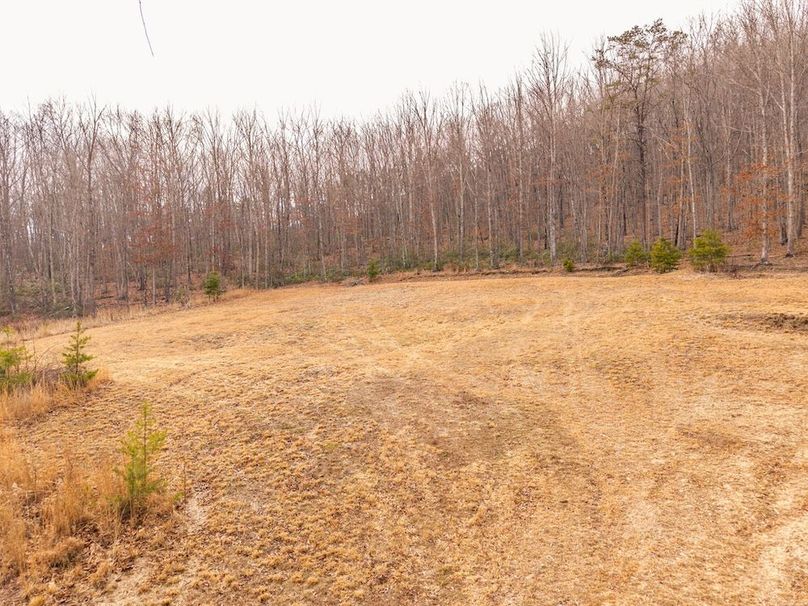 DJI_20260304155604_0018_D