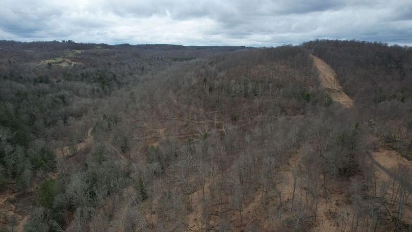 dji_fly_20260323_135500_187_1774365631509_photo