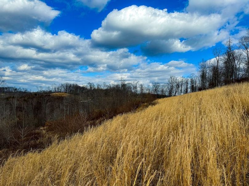 Doddridge, WV 79.08 AC Adams-46