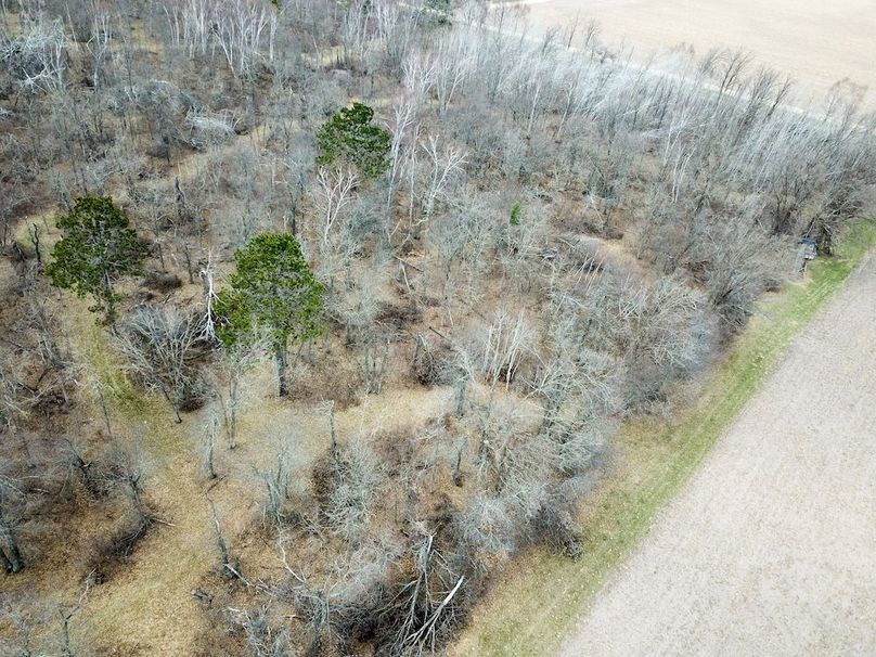 DJI_0173