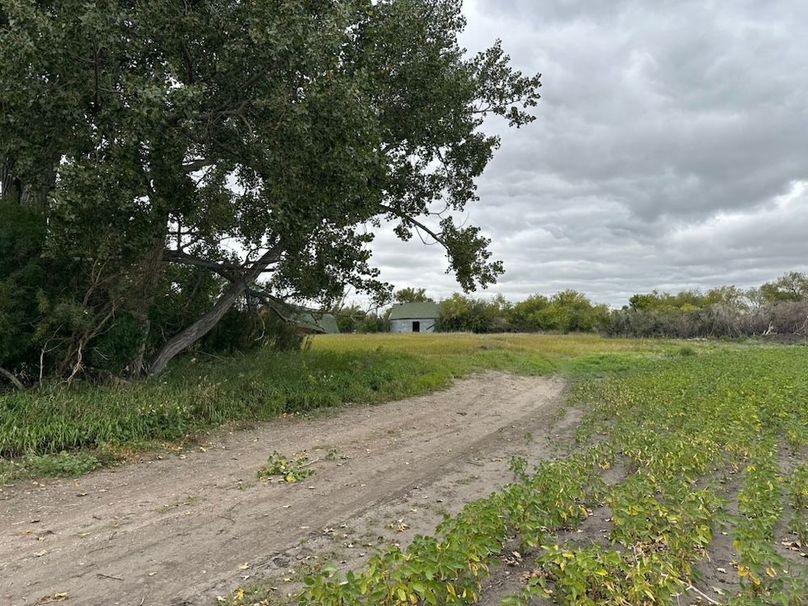 8FE7D1CE-B813-4F70-9470-8188D15D236F_1_105_c