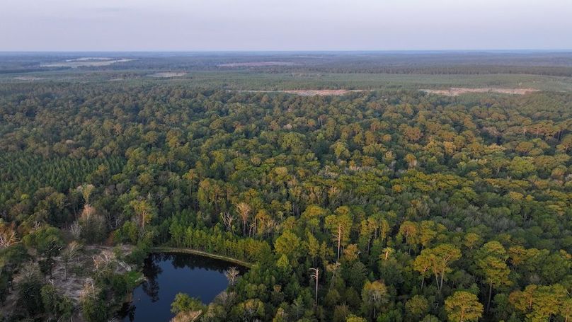 DJI_20250918071431_0047_D