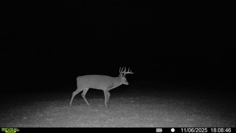 016578002606256-100-4-11062025180846-V-SYFW06961