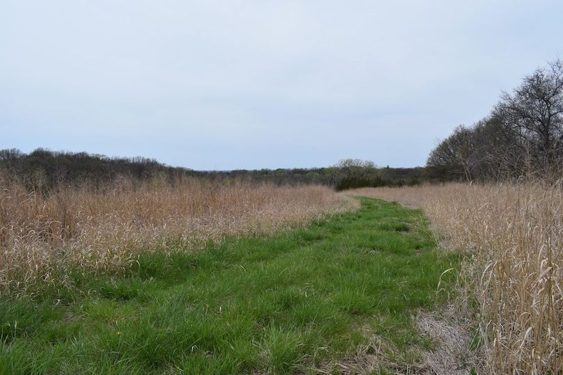 DSC_0017