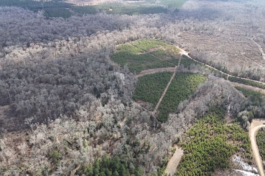 DJI_20250209032136_0394_D