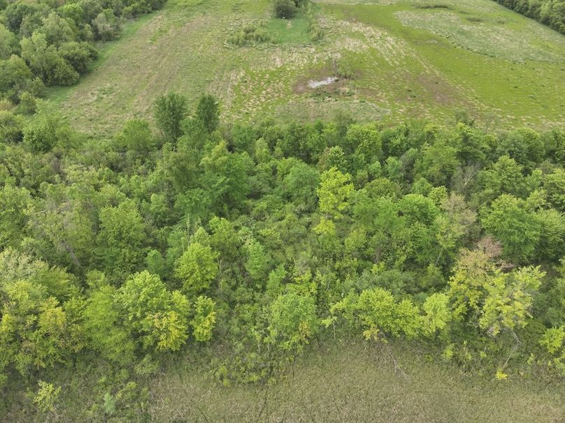 DJI_20250520063007_0020_V