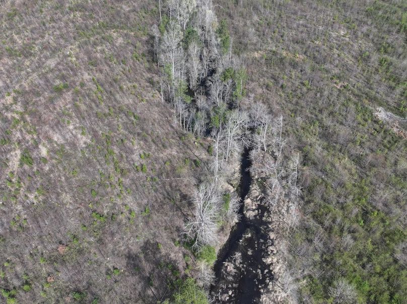 Copy of DJI_20260303063126_0531_D