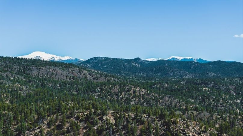 DJI_20240517125542_0079_D