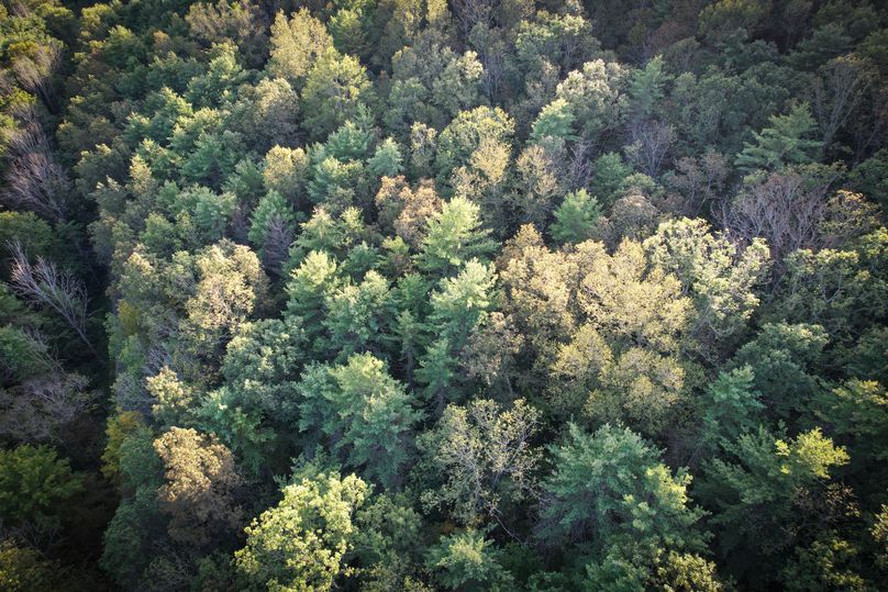 Tioga_20_Peters Photo 6